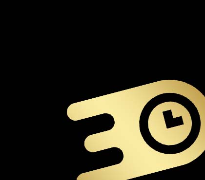 Pemasangan Profesional